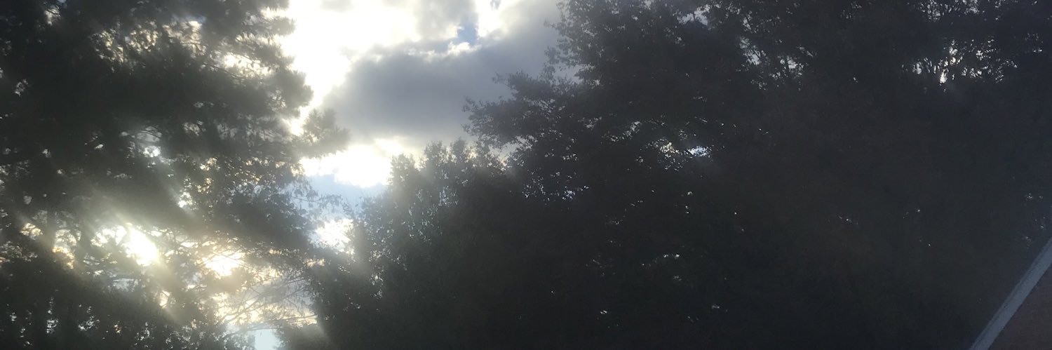StremicSpeaking's profile banner image