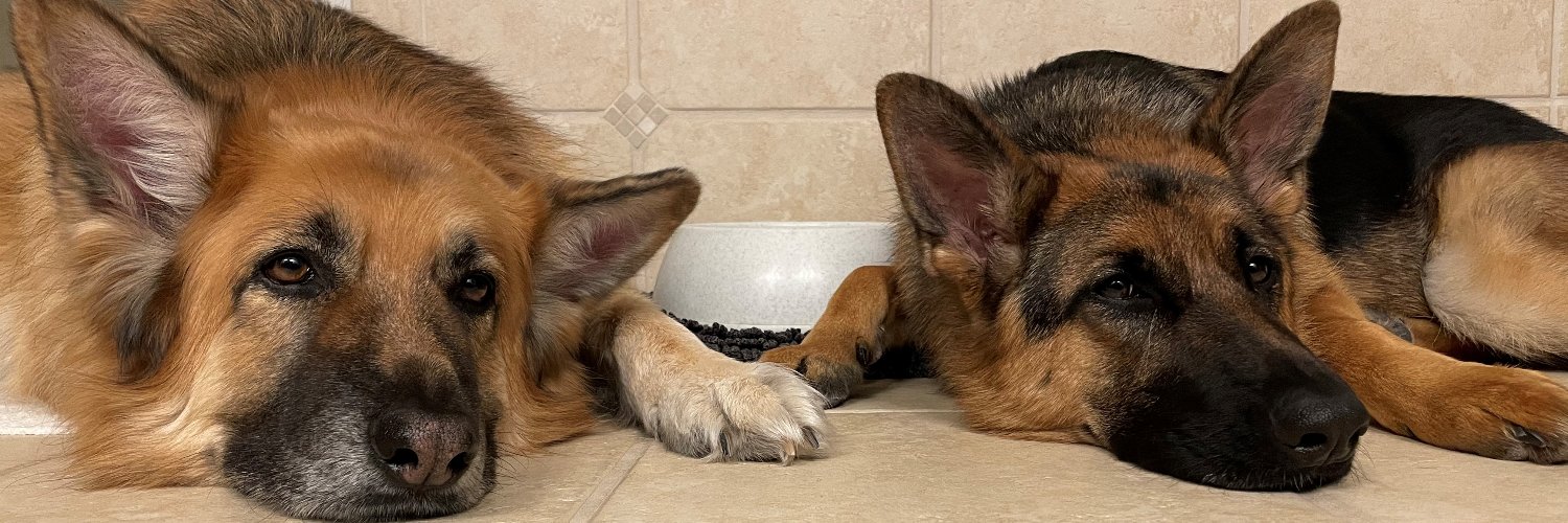 AndrewMGoBlue banner