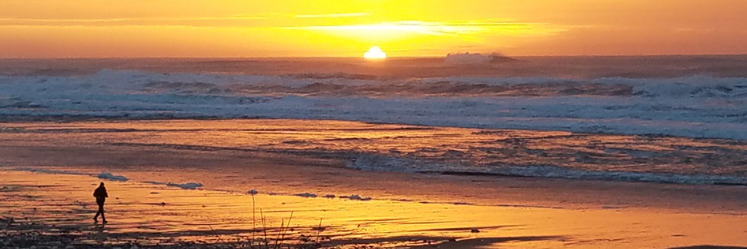 Danielle Lindquist banner