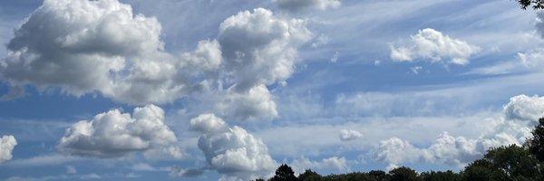 thebrureview Profile Banner