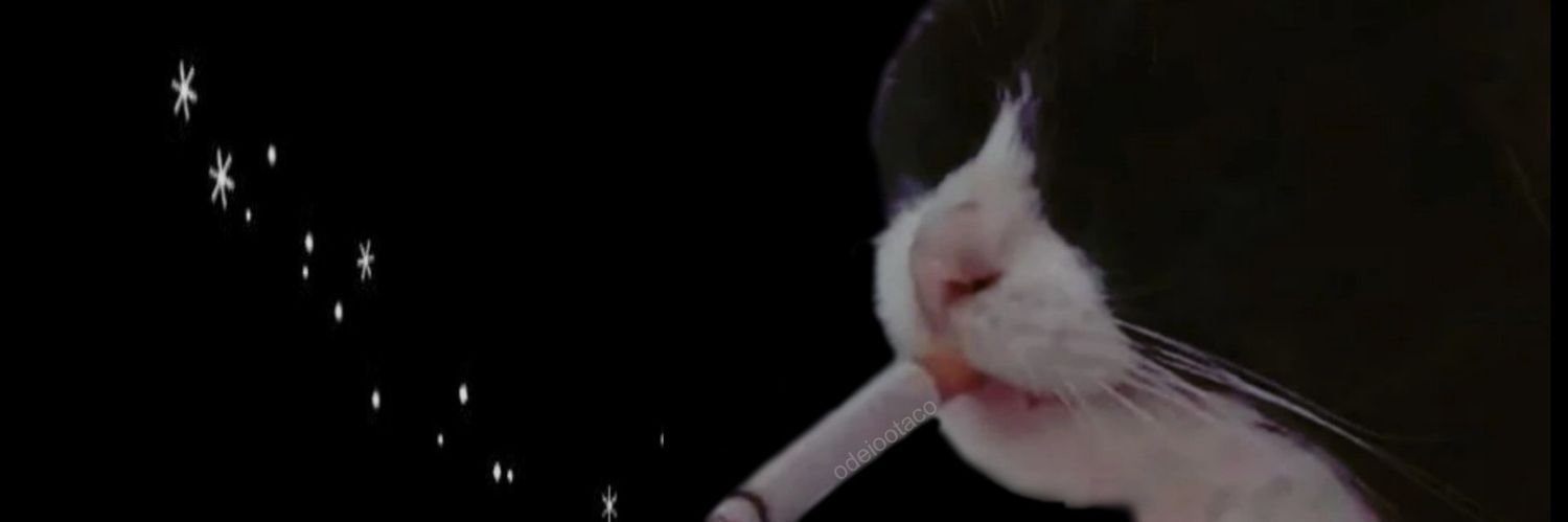 harryfalopa's profile banner image