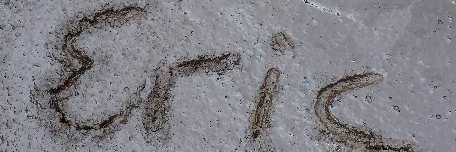 BiehlEric's profile banner image