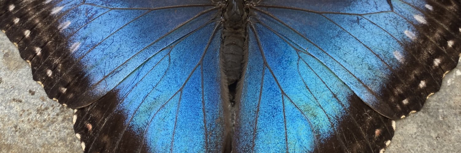 AidanRo's profile banner image