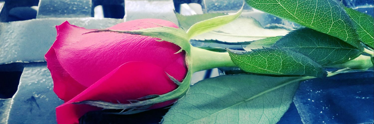 kerakhy's profile banner image