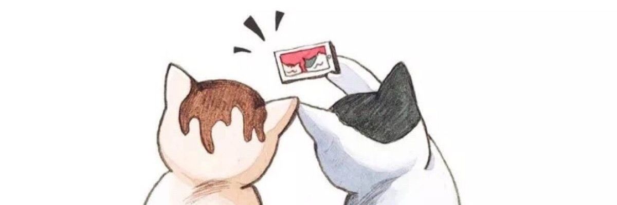 dritamaya's profile banner image