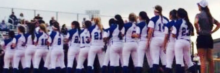 Priscilla Pompa Riser banner