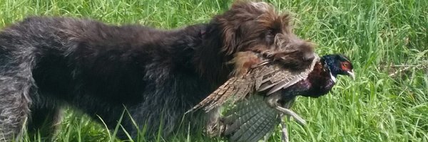 bmoorefarms Profile Banner