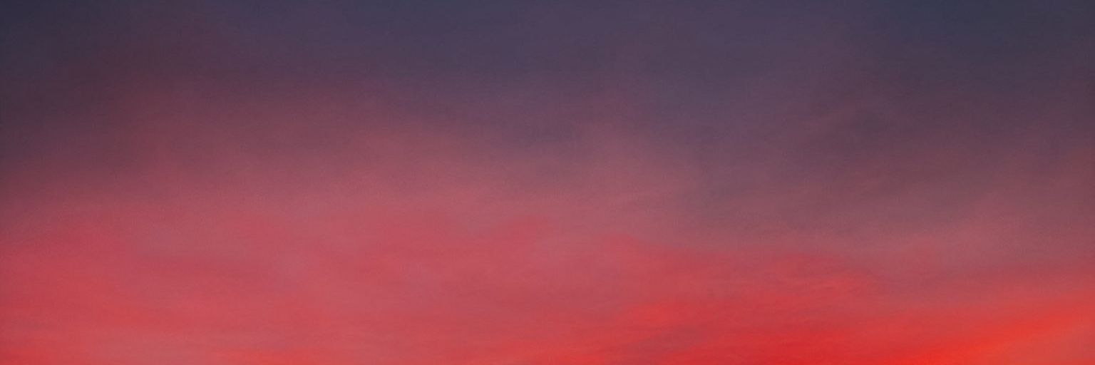 vvirginiagomez's profile banner image