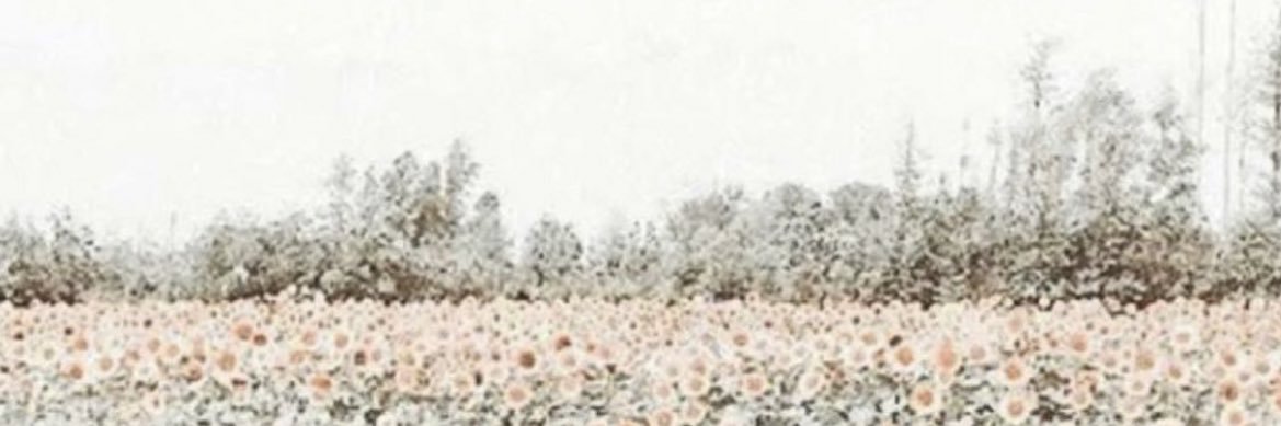 soneill94's profile banner image