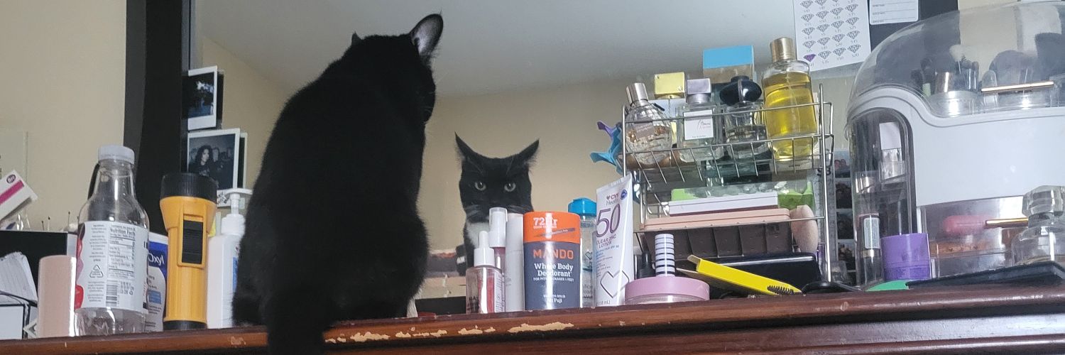 Kit_Katt18's profile banner image