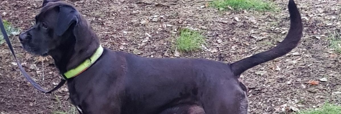 ale loayza🇦🇷🇪🇸🏴󠁧󠁢󠁥󠁮󠁧󠁿❤👄👄🔥🥰 banner