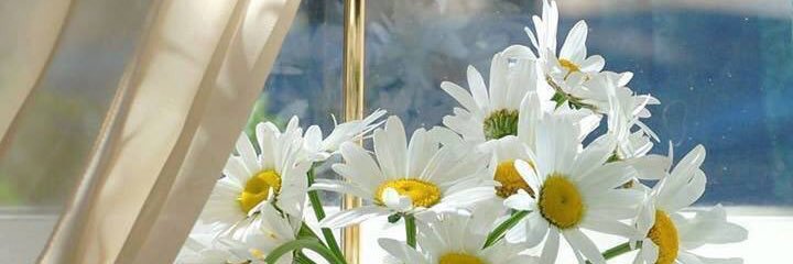 soso_4448's profile banner image