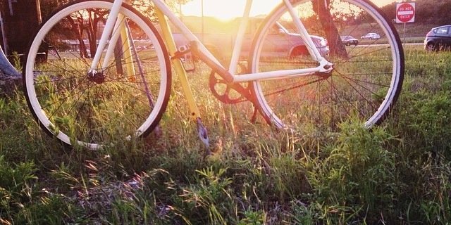 JessGralla's profile banner image