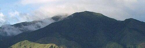 Isaricoveri's profile banner image