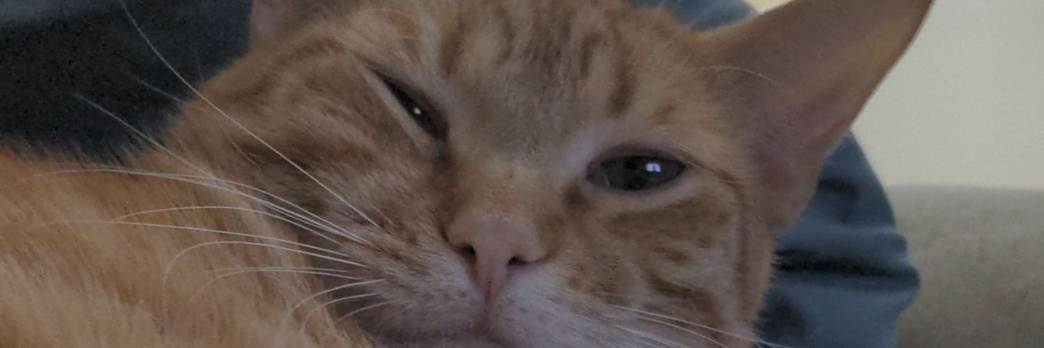 SourLemonSwag's profile banner image