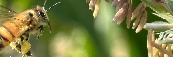 LinaLpzc Profile Banner