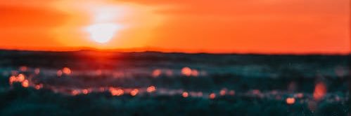 Uzo. 🌺 banner