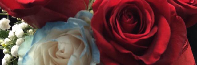 ashkubb's profile banner image