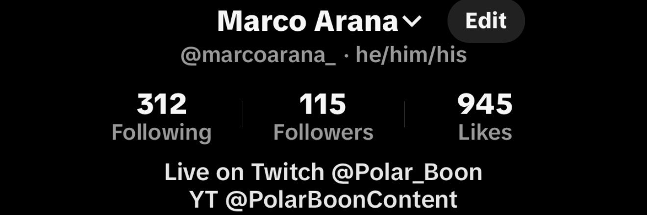 PolarBoon_'s profile banner image