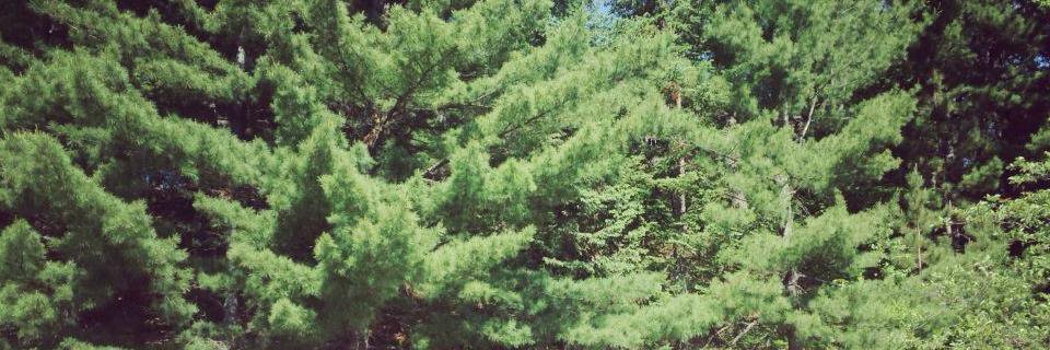 JustinKruger99's profile banner image