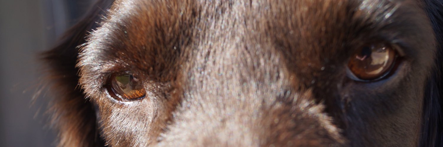 mackaylen's profile banner image