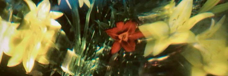 Colcharo's profile banner image