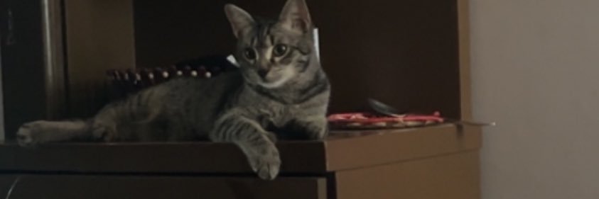 imUmairZ's profile banner image