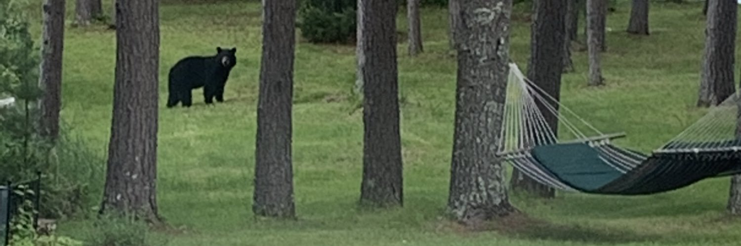 HollyDiesel1's profile banner image