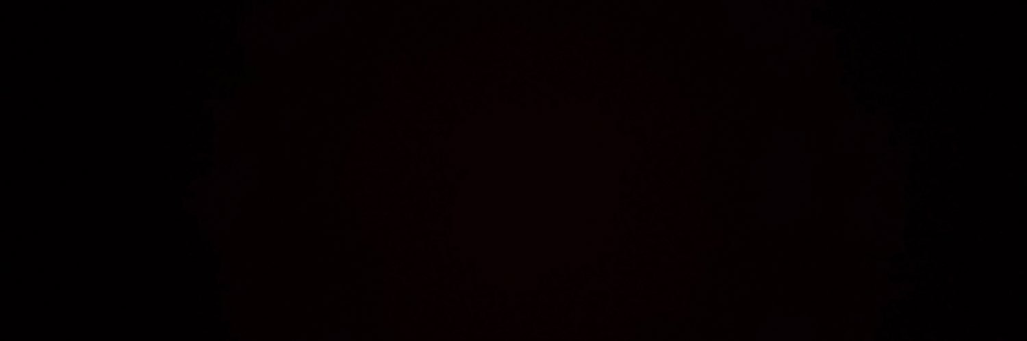 MAX banner