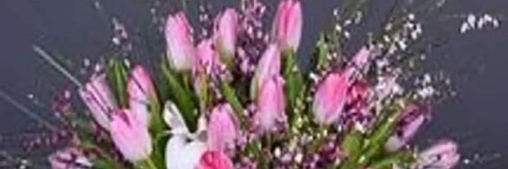 Nejom2's profile banner image