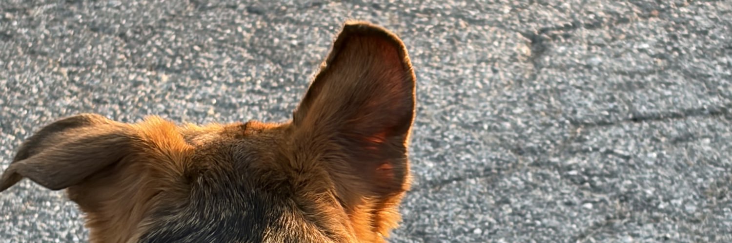 ashleyamorr's profile banner image