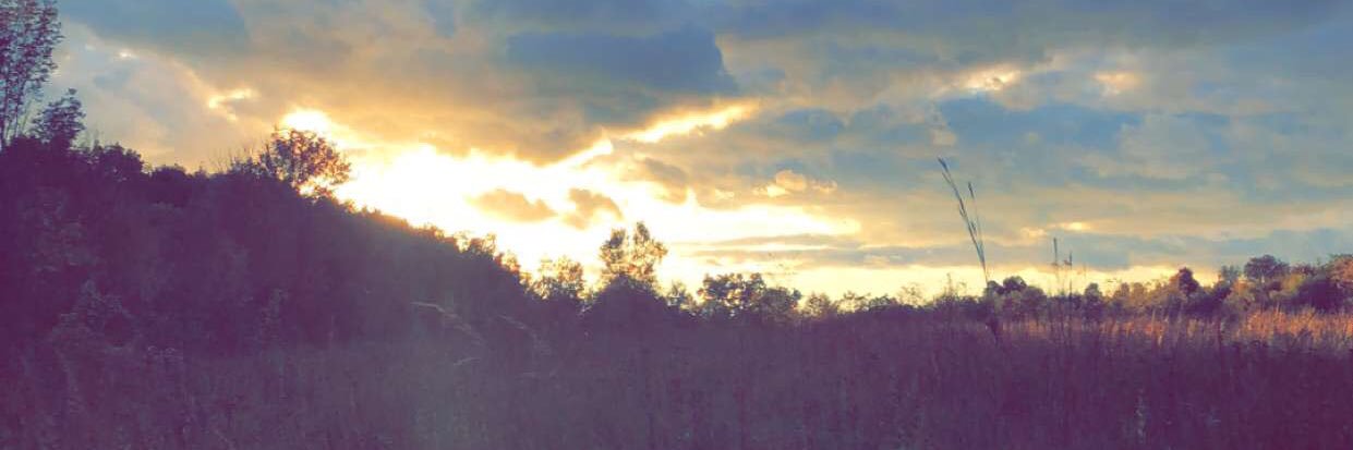 ⚜️megs⚜️ banner