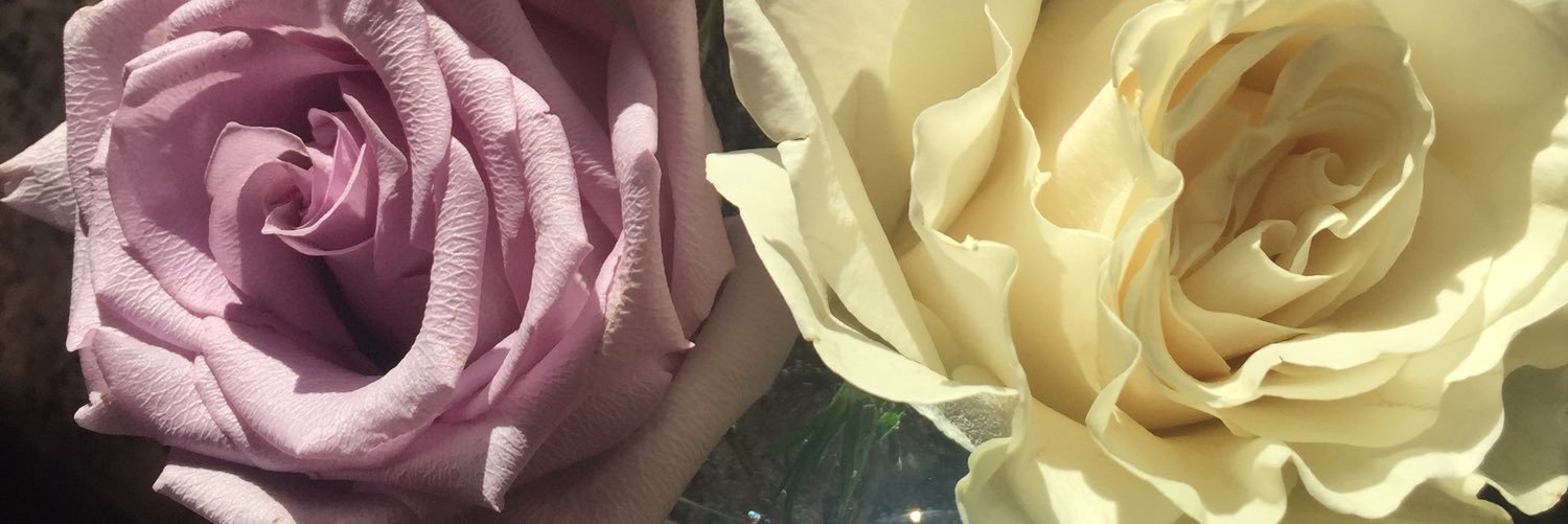 TheKateLahey's profile banner image