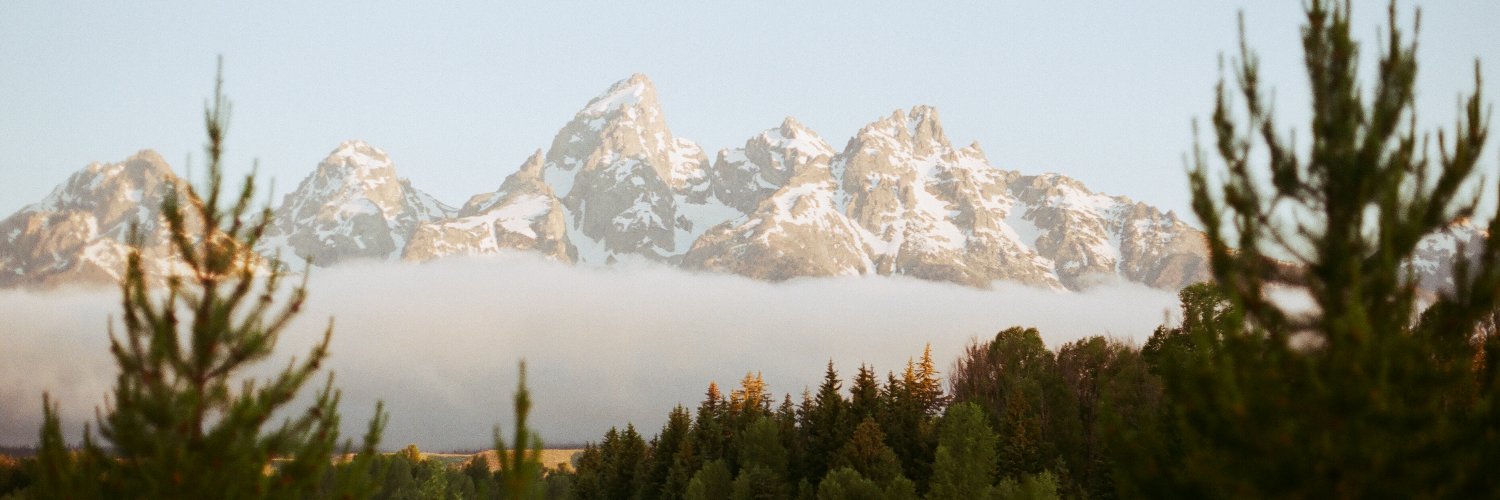 tweetsbyelliot's profile banner image