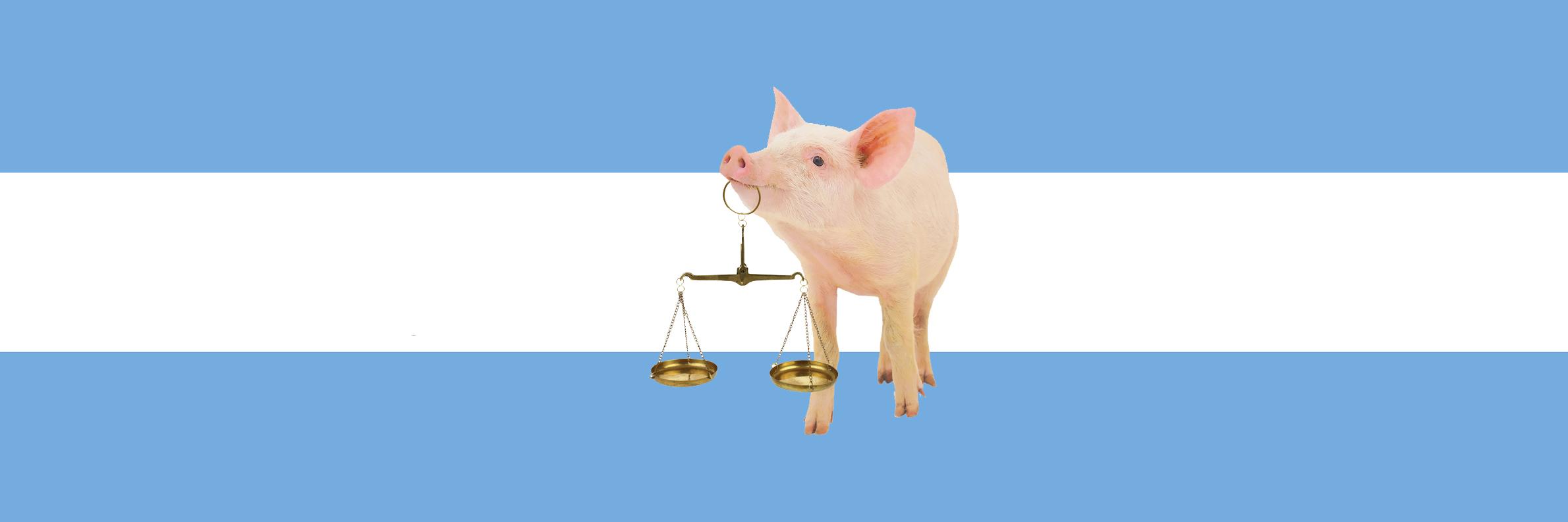 DoctoraPignata's profile banner image