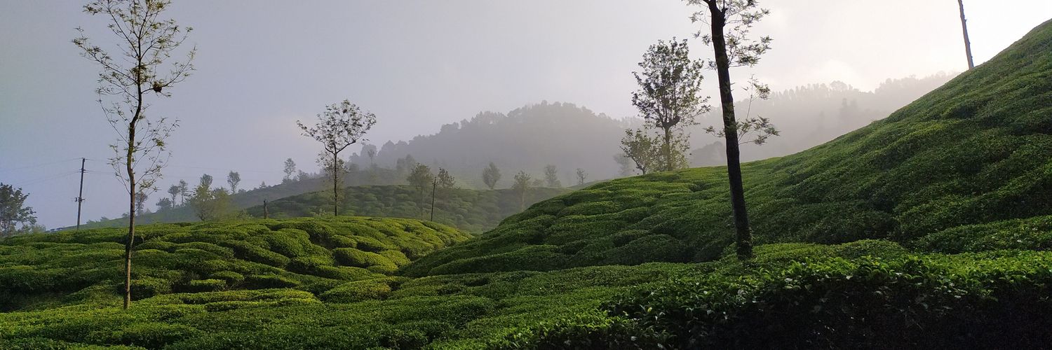 Debendra Prasad Panda banner