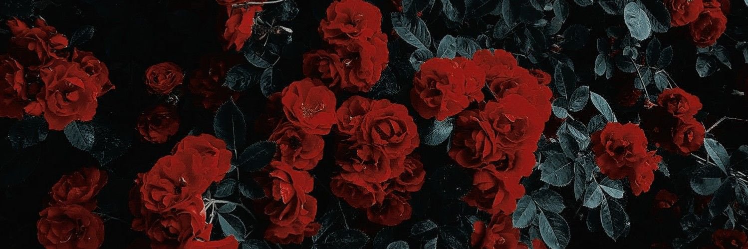 christiesuttonn's profile banner image