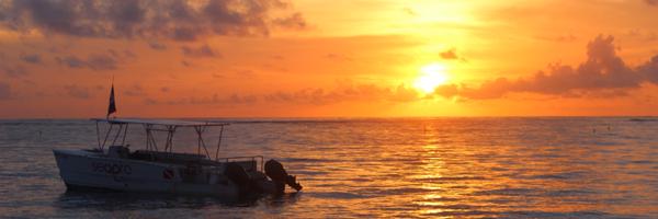 andyglyde Profile Banner