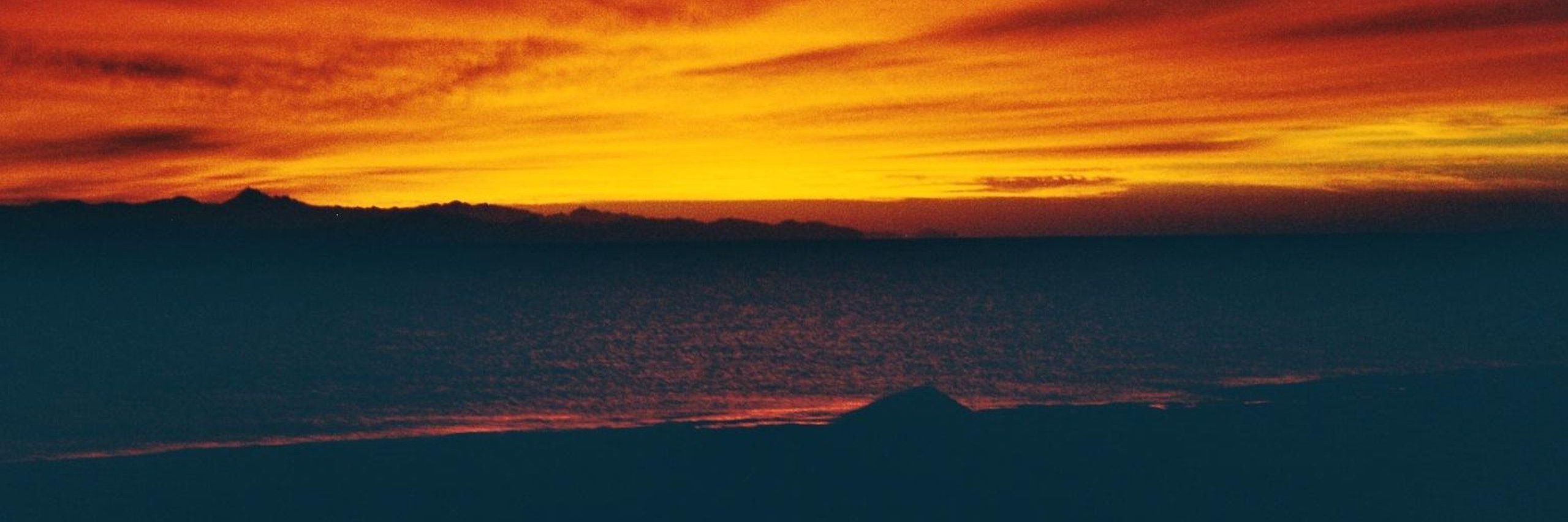 dtrieb's profile banner image