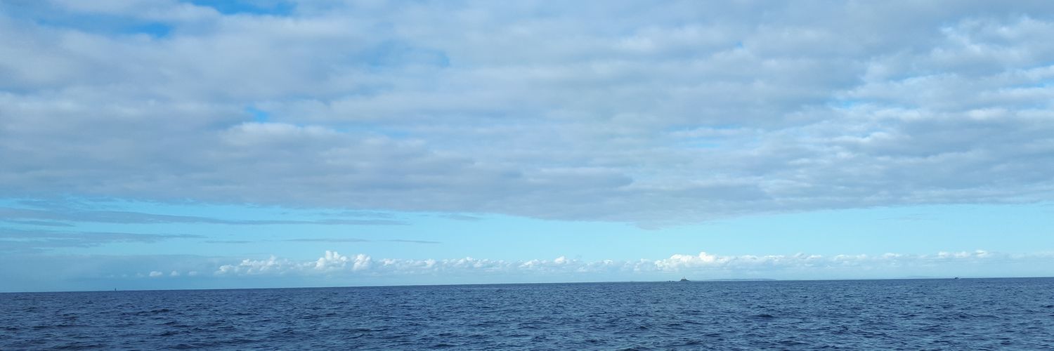 PiEmMoHa's profile banner image