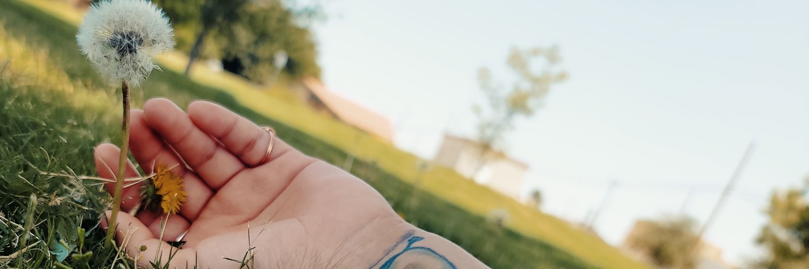 14Kitty_Kat14's profile banner image