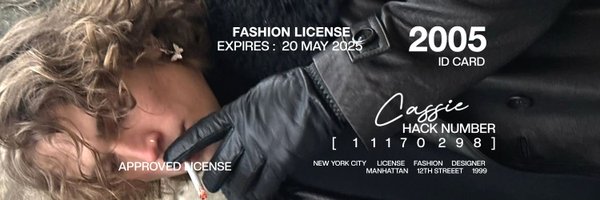 casliese Profile Banner