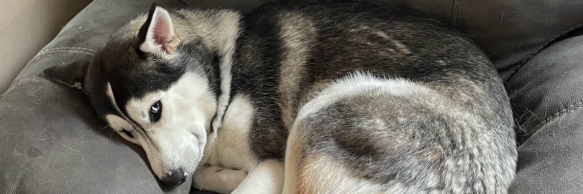 Zesttttt_'s profile banner image