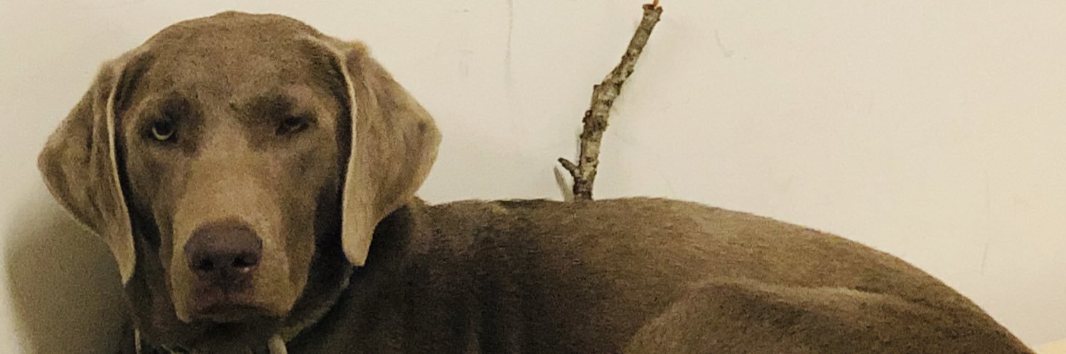 Rushing09's profile banner image
