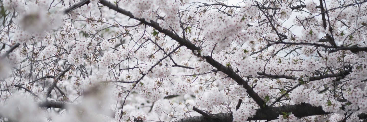 HuiSou's profile banner image