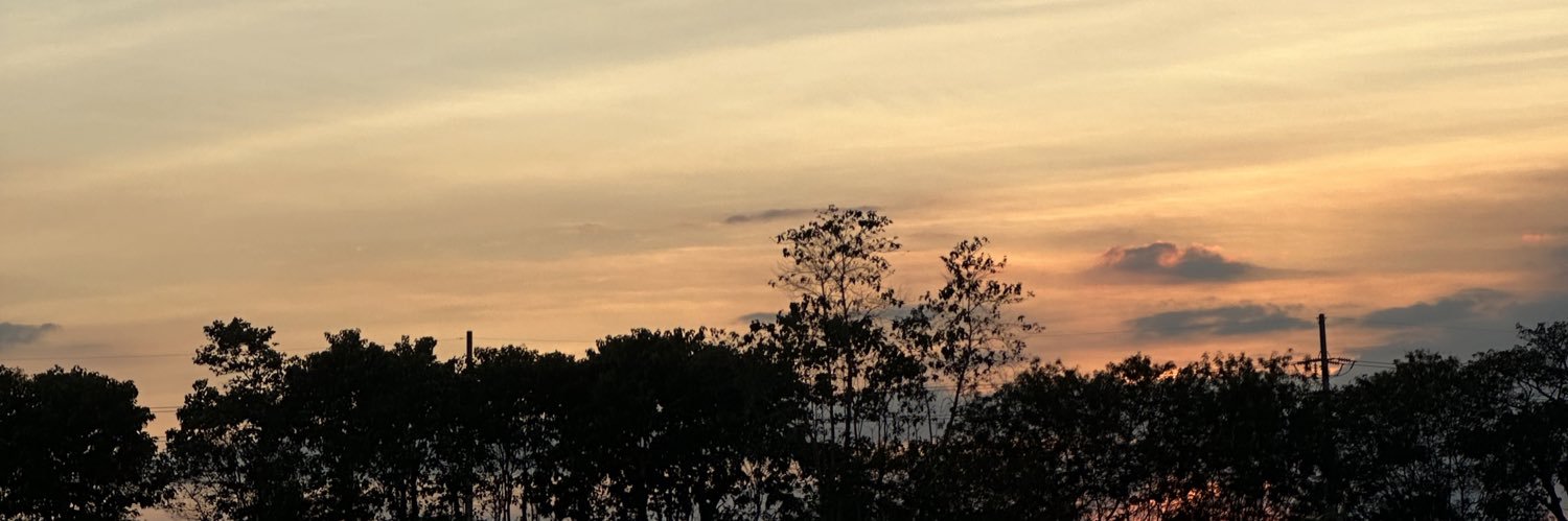 alelexxs's profile banner image