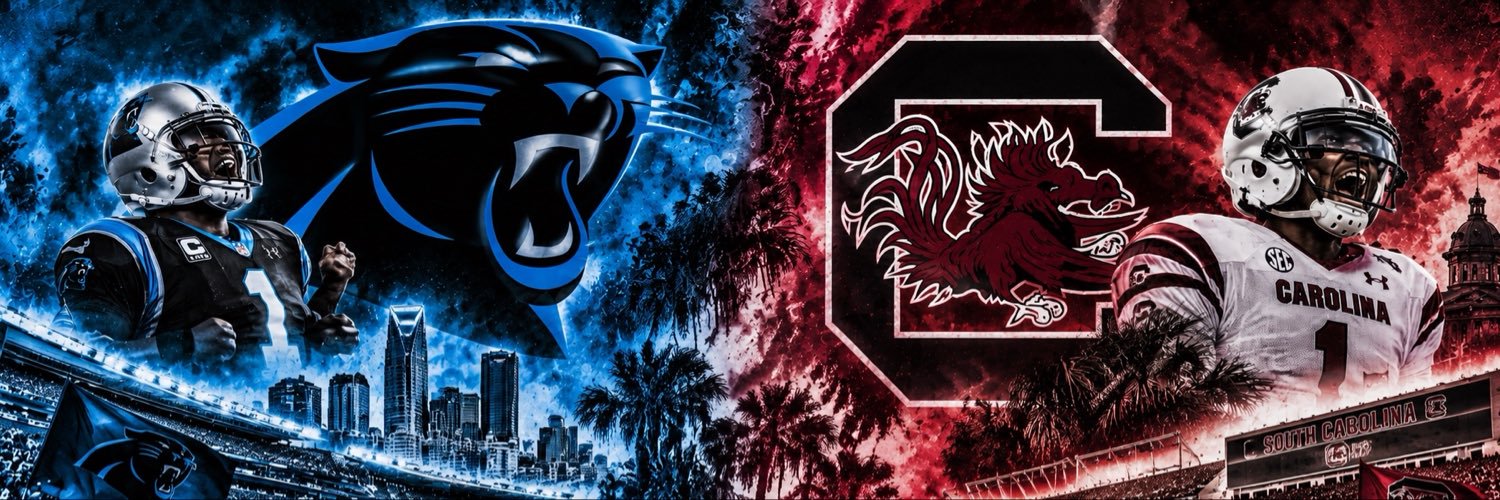 AllCarolinaBaby's profile banner image