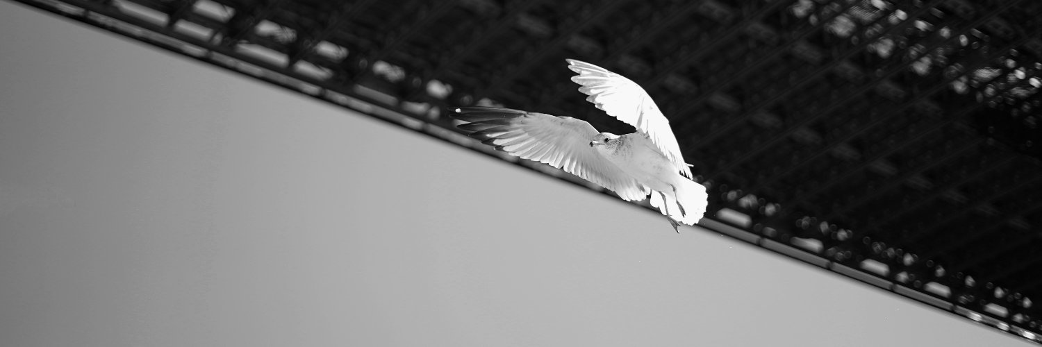 DhavalKadia's profile banner image
