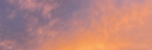 paytonwhitmore Profile Banner