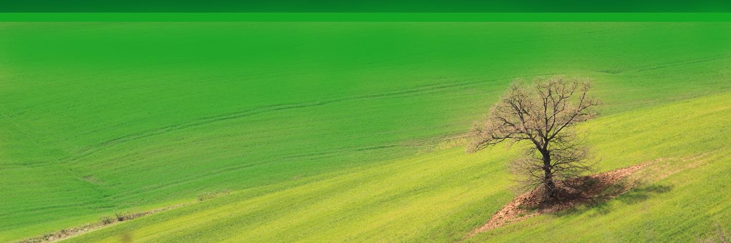 ArpaER's profile banner image